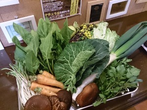 宮崎県都城野菜